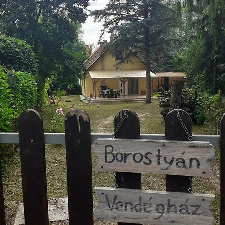 Апартаменты Borostyan Vendeghaz Tiszaug Экстерьер фото