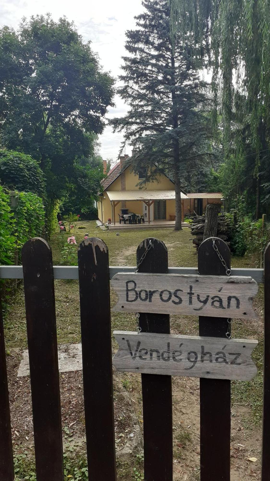 Апартаменты Borostyan Vendeghaz Tiszaug Экстерьер фото